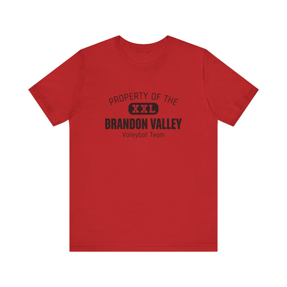 BV Volleyball - Unisex Jersey Short Sleeve Tee