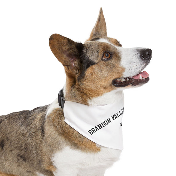 BV XC - Pet Bandana Collar