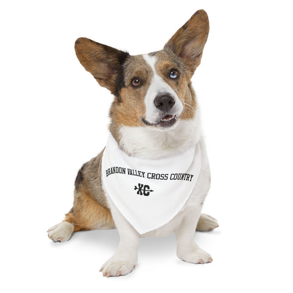 BV XC - Pet Bandana Collar