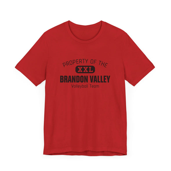 BV Volleyball - Unisex Jersey Short Sleeve Tee