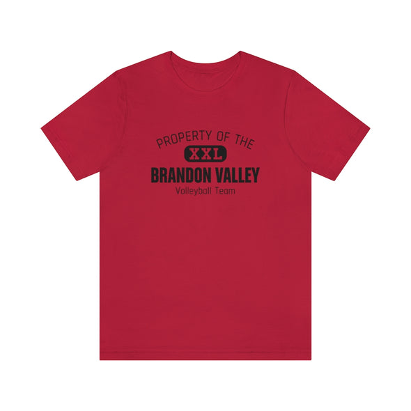 BV Volleyball - Unisex Jersey Short Sleeve Tee